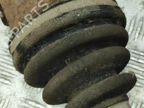  - Image 7