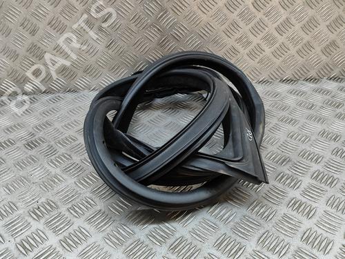 Rubber door seal BMW 4 Coupe (F32, F82) M4 | BP18314066C142 