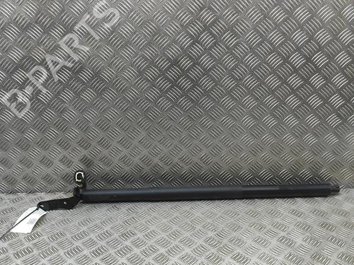 Used Tailgate lift support Tailgate lift support BMW X6 (G06, F96) xDrive 30 d Mild-Hybrid (298 hp) 33390438 33390438