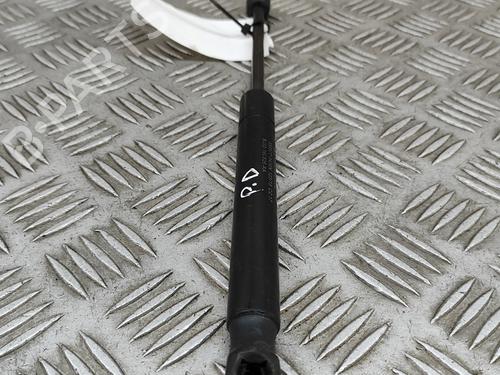 Hood lift support LAND ROVER RANGE ROVER EVOQUE (L538) 2.2 D 4x4 | BP26142570C139 