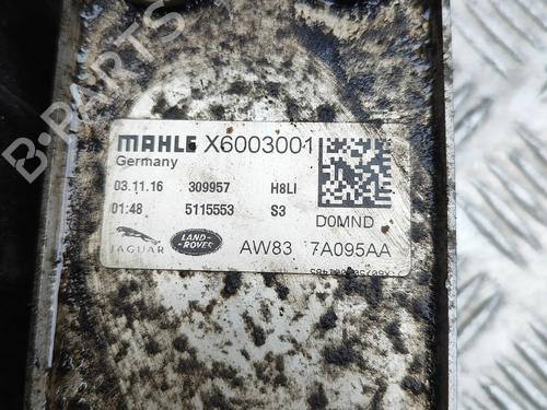 Oil radiator JAGUAR XE (X760) 2.0 D | BP36232129M33 - Image 6