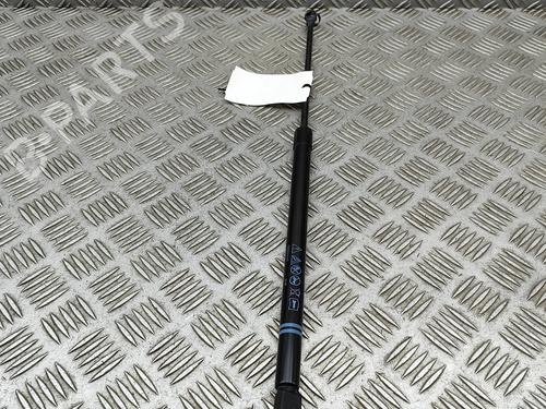 Tailgate lift support VW GOLF VIII (CD1, DA1) 2.0 TSI R 4motion | BP30005090C138
