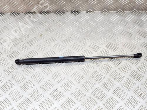 Used Hood lift support LAND ROVER RANGE ROVER SPORT I (L320) 3.0 D 4x4 (211 hp) 14636307
