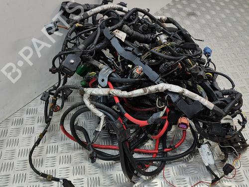 Wiring harness JAGUAR XJ (X351) 3.0 SCV6 | BP19501496E16 