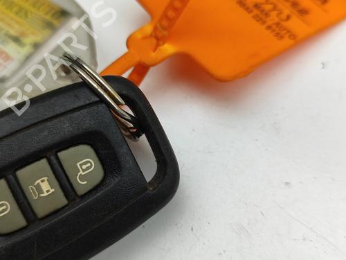 Electronic module CHEVROLET CAPTIVA (C100, C140) 2.0 D 4WD | BP28101913M83 