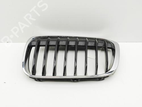 Used Grille BMW X1 (F48) sDrive 18 d (150 hp) 29730920