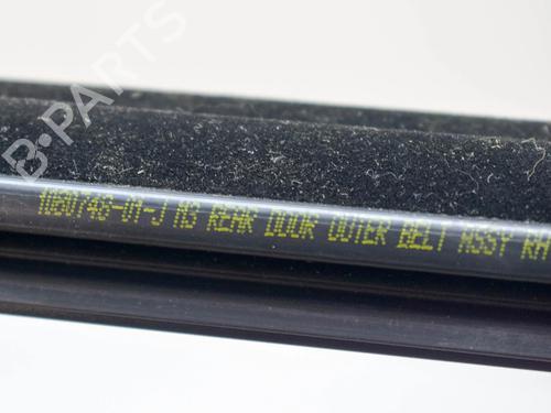 Door moulding trim TESLA MODEL 3 (5YJ3) EV AWD | BP27756825C150