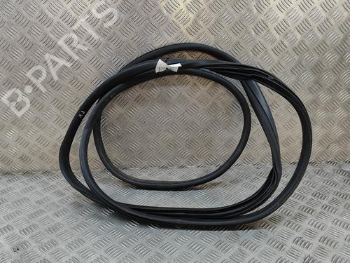 Rubber door seal OPEL MOVANO B Van (X62) 2.3 CDTI FWD (FV) | BP26311374C142 