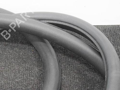 Rubber door seal BMW 7 (F01, F02, F03, F04) 730 d | BP14609820C142 