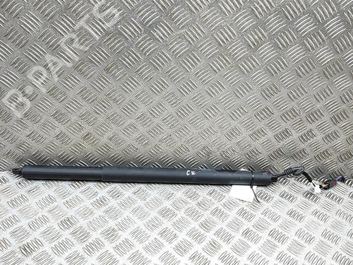 Used Left rear shock absorber Left rear shock absorber 38308211 38308211