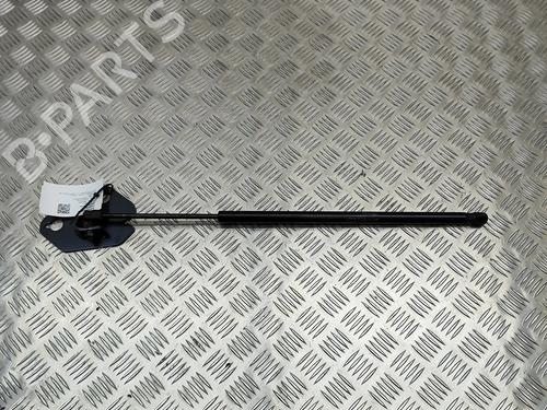 Tailgate lift support JAGUAR XJ (X351) 3.0 SCV6 | BP19501665C138