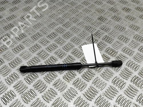 hood-lift-support-bmw-5-touring-f11-2009-2010-2011-2012-2013-2014-2015-2016-2017-30004995 main image