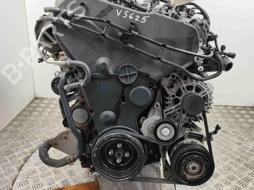 Engine AUDI A4 B9 Avant (8W5, 8WD) 2.0 TDI | BP29578535M1 