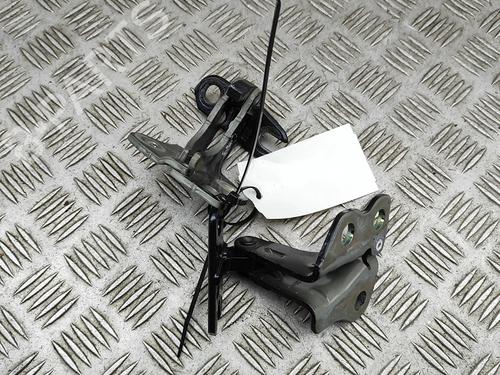 Hinge/Door check strap TESLA MODEL 3 (5YJ3) EV | BP32269362C146