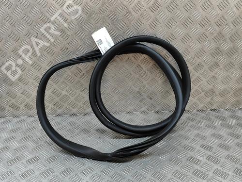 rubber-door-seal-renault-austral-2022-29392294 main image