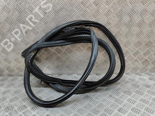 Gummiliste BMW 2 Coupe (F22, F87) M 235 i (326 hp) 24141928