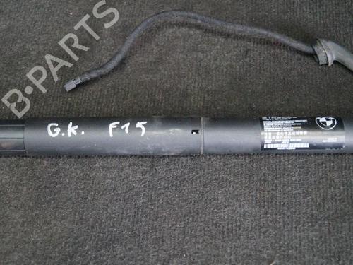 Tailgate lift support BMW X5 (F15, F85) xDrive 30 d | BP14653024C138 