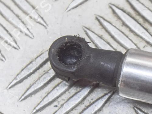 Hood lift support VW PHAETON (3D1, 3D2, 3D3, 3D4, 3D6, 3D7, 3D8, 3D9) 4.2 V8 4motion | BP14621910C139