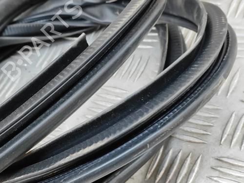 Rubber door seal LEXUS UX (_AA1_, _AH1_, _MA1_) 250h (MZAH10) | BP27788689C142 