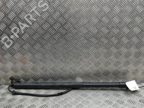 Used Tailgate lift support TOYOTA C-HR (_X2_, _H2_) Hybrid (ZYX20) (140 hp) 30108347