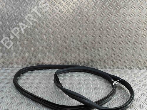 Used Rubber door seal FIAT 500 (312_) 1.0 Mild Hybrid (312.AYD1B) (69 hp) 29392316