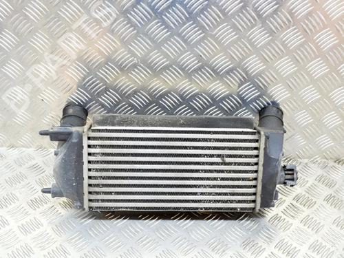Used Intercooler Intercooler FORD FIESTA VI (CB1, CCN) 1.0 EcoBoost (100 hp) 7698269 7698269