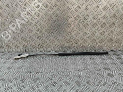 Hood lift support AUDI E-TRON (GEN) 55 quattro | BP29404556C139 