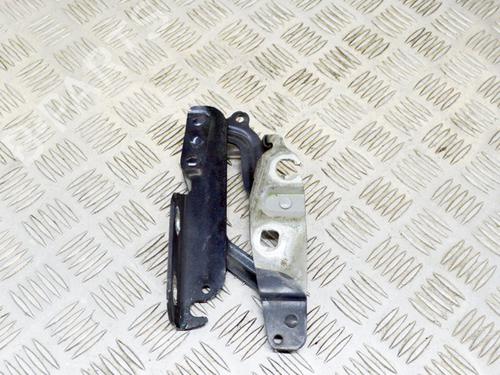 Hinge/Door check strap FORD FIESTA VI (CB1, CCN) 1.0 EcoBoost | BP14624412C146 