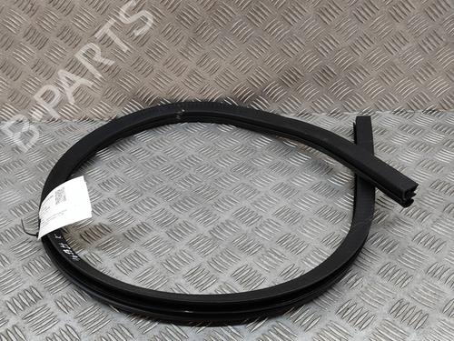 Rubber door seal JAGUAR F-TYPE Coupe (X152) 3.0 SCV6 | BP22998350C142 