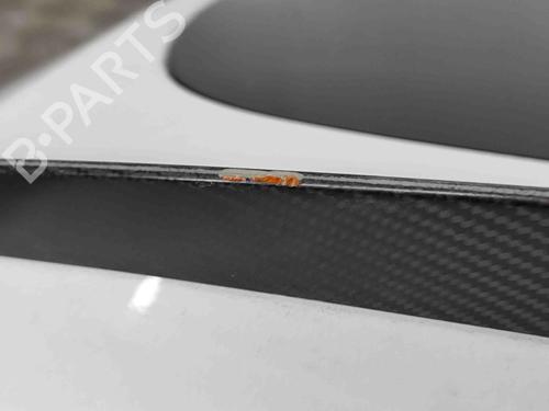 Tailgate TESLA MODEL Y (5YJY) EV Performance All-wheel Drive | BP29593483C6 