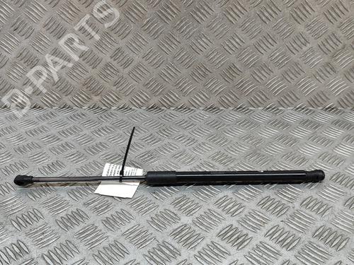 Used Tailgate lift support FIAT 500 (312_) 1.0 Mild Hybrid (312.AYD1B) (69 hp) 28554699