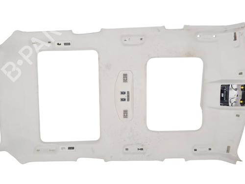 Techo interior LAND ROVER DISCOVERY V (L462) 3.0 Td6 4x4 (258 hp) 30246331