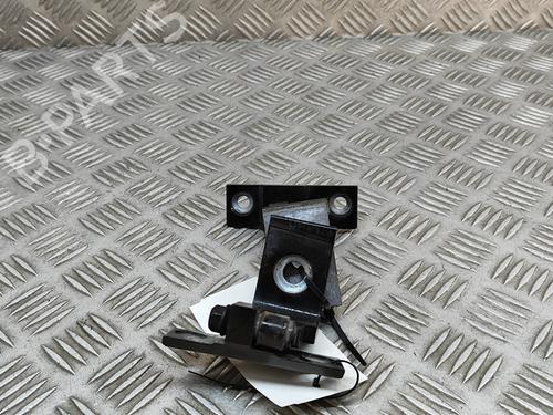Hinge/Door check strap BMW X6 (E71, E72) xDrive 40 d | BP19937095C146 