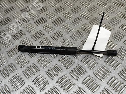 hood-lift-support-tesla-model-y-5yjy-2019-27794694 main image