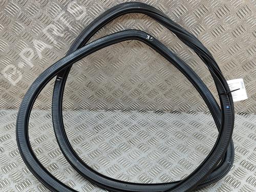 Rubber door seal AUDI Q5 (FYB, FYG) SQ5 TFSI quattro | BP19502621C142 