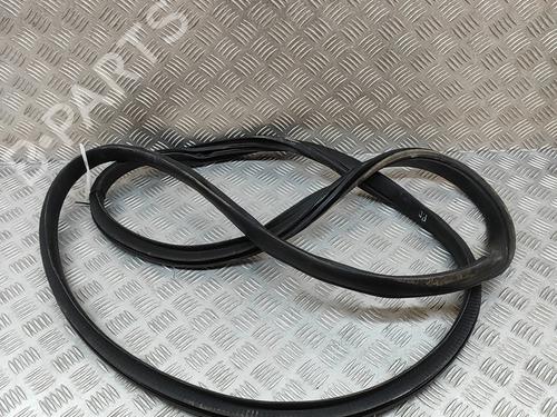 Gummiliste TESLA MODEL X (5YJX) P100D AWD (772 hp) 25217854