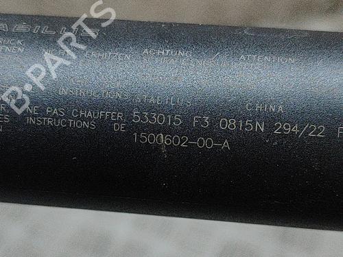 Tailgate lift support TESLA MODEL Y (5YJY) EV Performance All-wheel Drive | BP31314667C138 