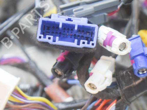 Wiring harness TESLA MODEL S (5YJS) P100D AWD | BP14623656E16 