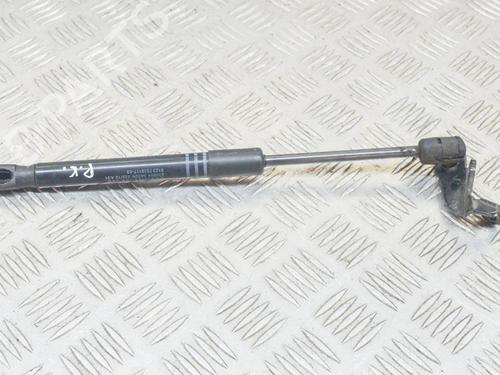 Used Hood lift support BMW 5 (F10) 520 d (184 hp) 14624920