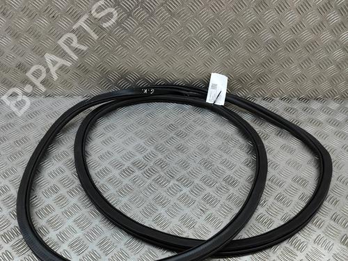 Gummiliste BMW X7 (G07) xDrive 40 d Mild-Hybrid | BP27772571C142