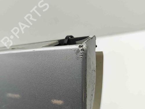 Door moulding trim BMW X3 (F25) xDrive 20 d | BP29310431C150 