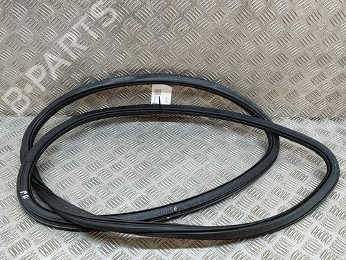 Rubber door seal AUDI Q5 (FYB, FYG) SQ5 TFSI quattro | BP19502622C142 