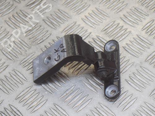 Hinge/Door check strap BMW 5 (F10) M5 | BP14626133C146 