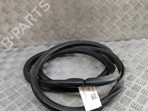 Rubber door seal FORD KUGA III (DFK) 2.5 Duratec PHEV | BP28563465C142
