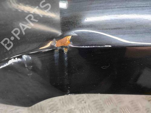 Left front fenders JEEP GRAND CHEROKEE III (WH, WK) 6.1 SRT8 4x4 | BP29890743C41