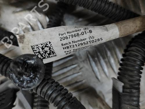 Wiring harness TESLA MODEL 3 (5YJ3) EV | BP27766091E16 