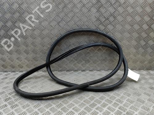 Używane Gumowa uszczelka drzwi BMW 5 Touring (F11) M 550 d xDrive (381 hp) 30004963