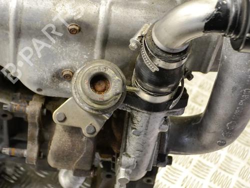 Engine NISSAN PRIMERA (P12) 2.2 dCi | BP8624274M1  - Image 6