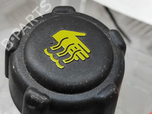 Expansion tank NISSAN QASHQAI III (J12) 1.3 DIG-T | BP29391428C120 