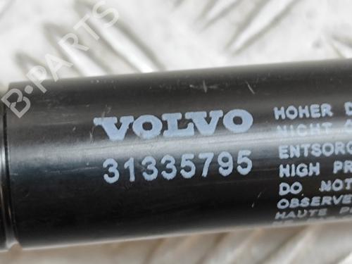 Hinge/Door check strap VOLVO V70 III (135) D5 | BP25788162C146 